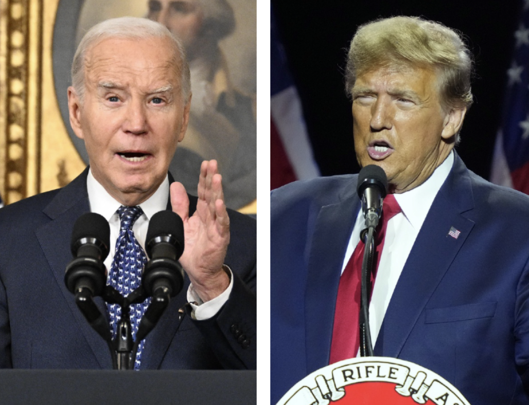 Biden&#38;Dumbshit