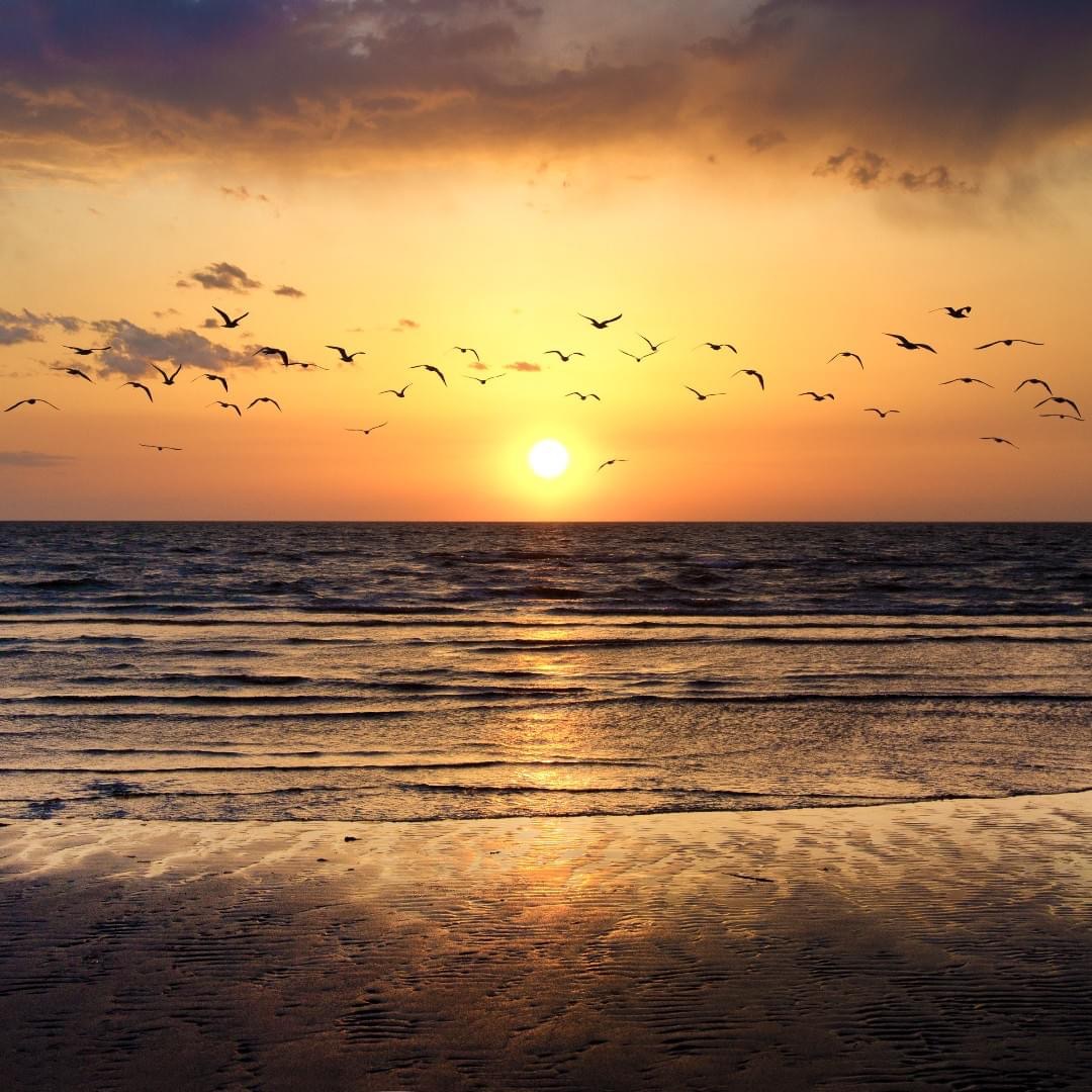 Ocean Sunrise